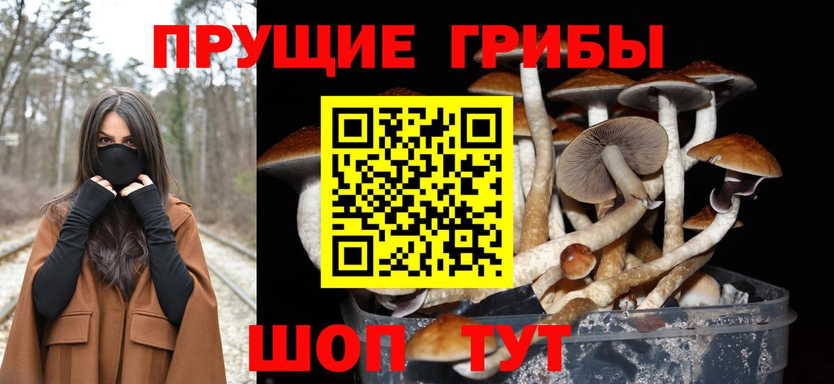 Михайловка  Галлюциногенные грибы мухоморы  Вход с VPN 