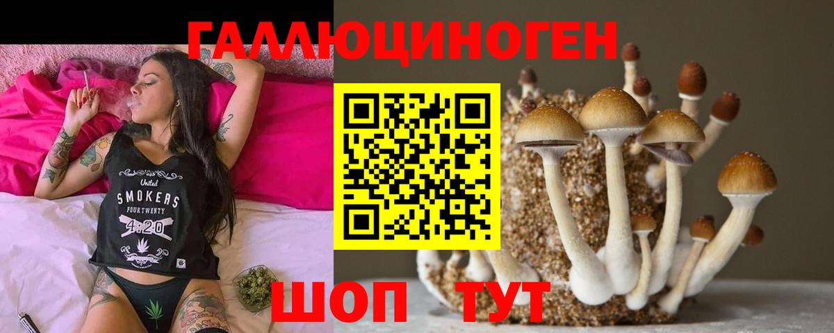 Галлюциногенные грибы Cubensis Михайловка
